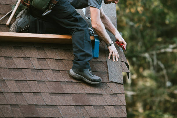 Roof Gutter Cleaning in Fairfax, SC